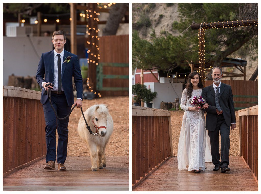 Reptacular Ranch Wedding Photos