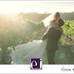 Koehler Winery Wedding Photos- Photoshoot