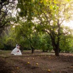 Disney-inspired Orcutt Ranch wedding | Shannon + Travis
