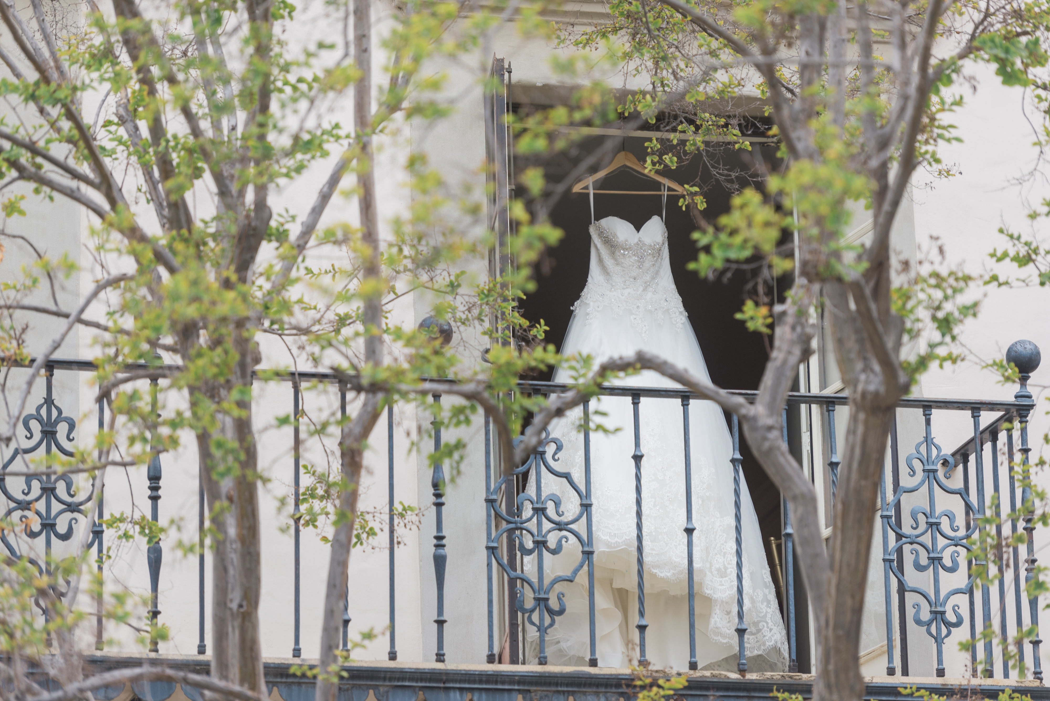 Athenaeum Wedding Photos - Wedding Dress